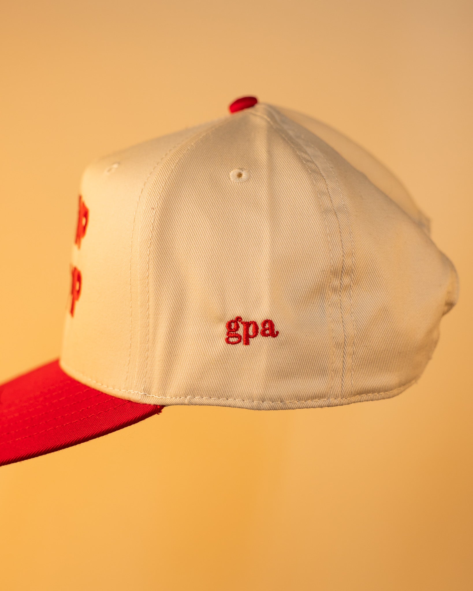 DUMP TR*MP Snapback