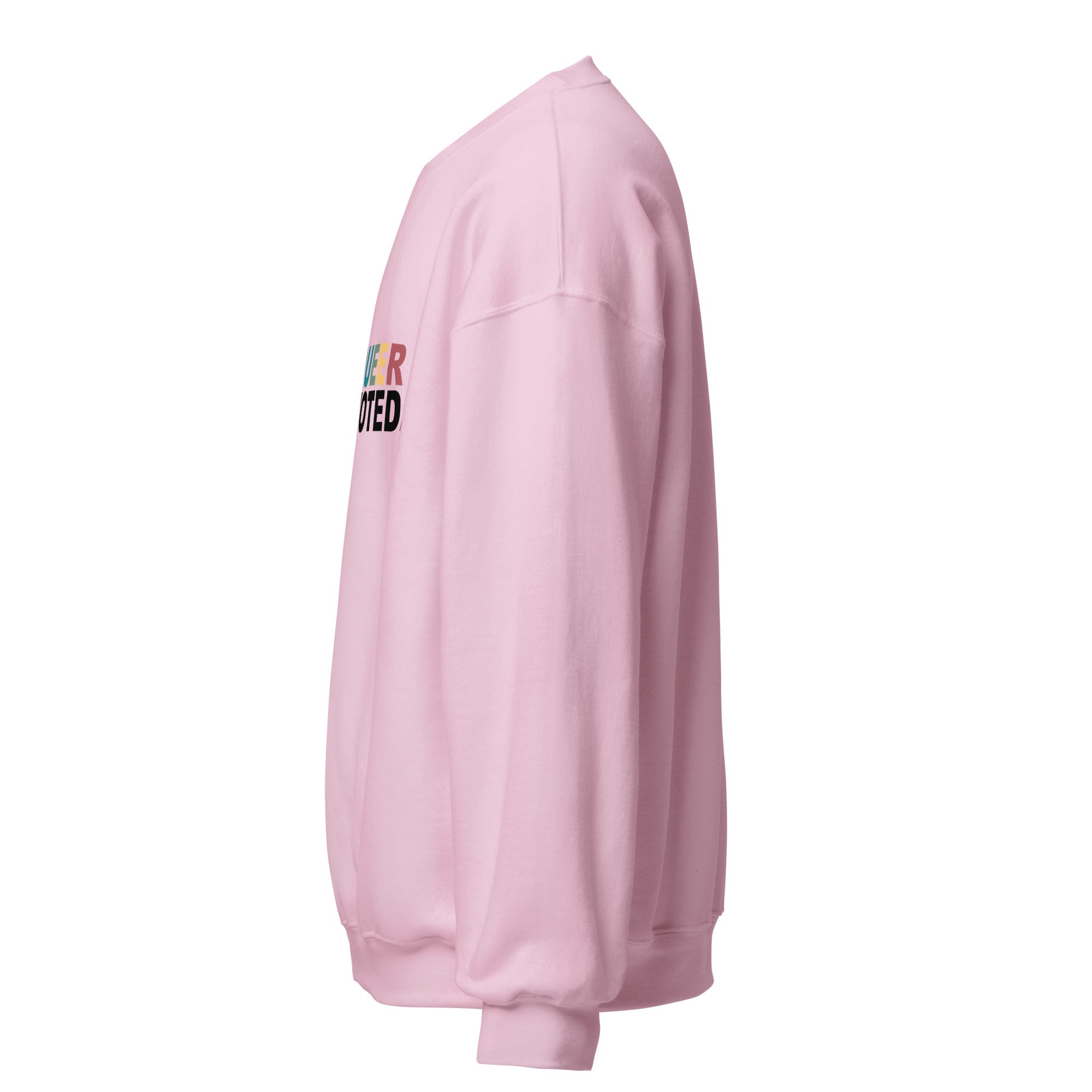 Sudadera unisex con el mensaje "This Queer Just Voted"