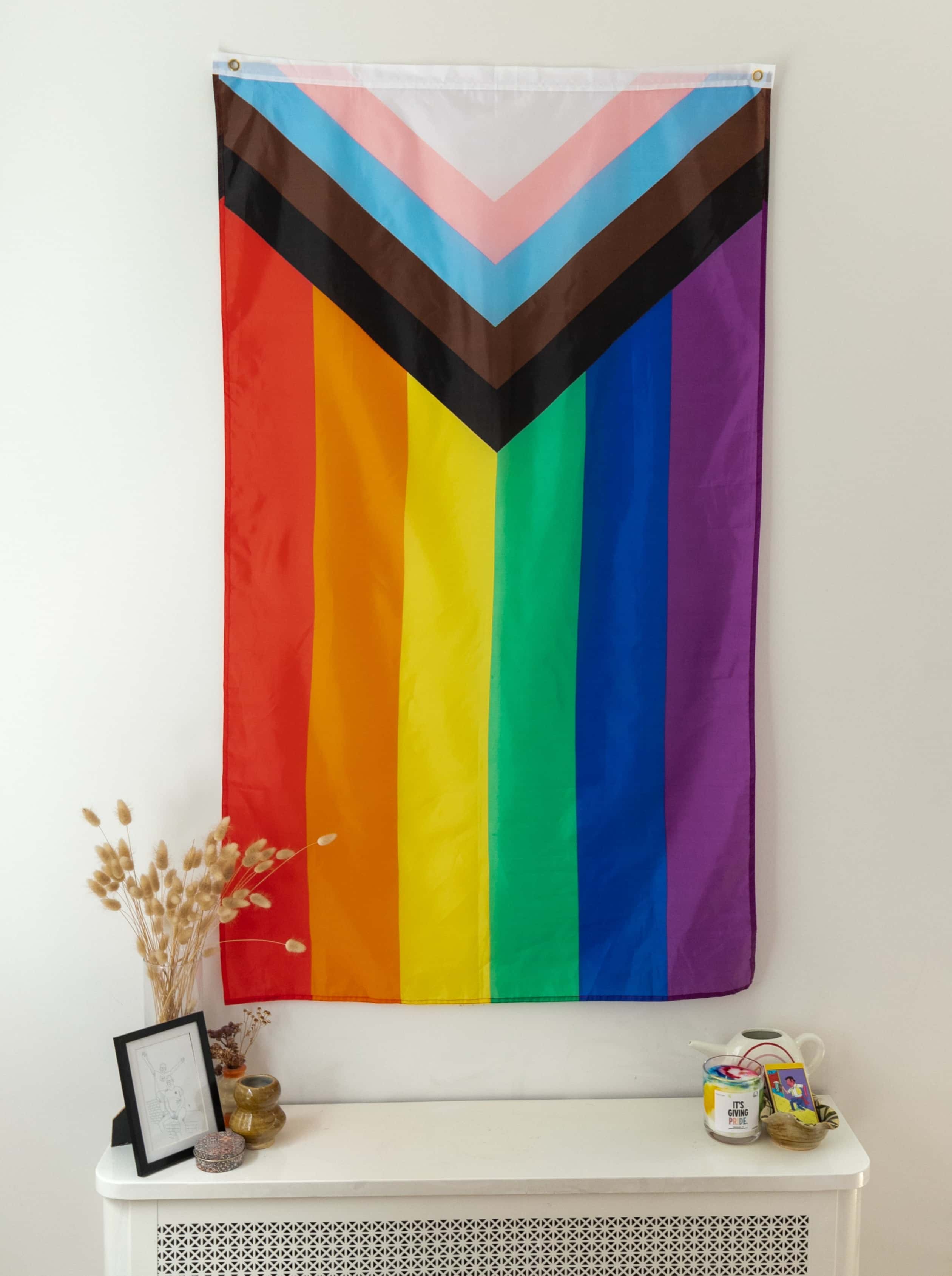 Bandera del orgullo progresista (doble cara)