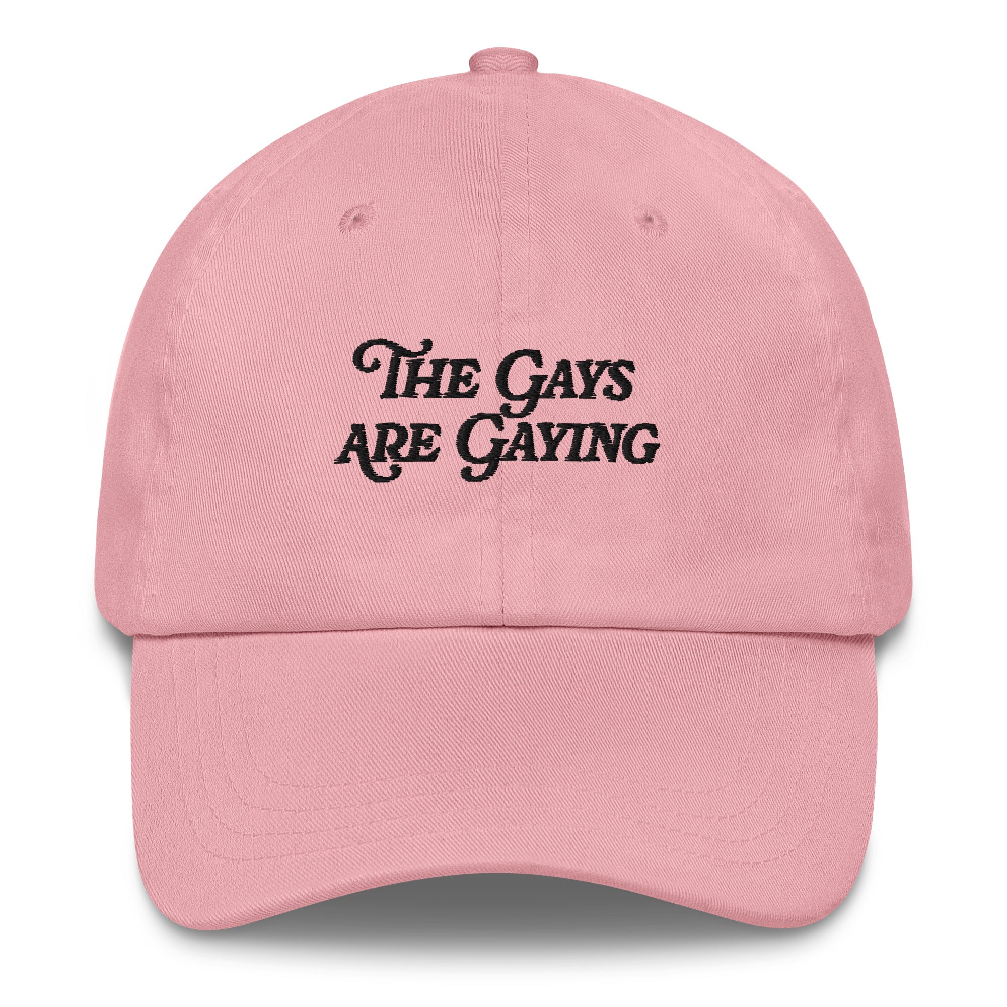 El sombrero "Los gays son gays"
