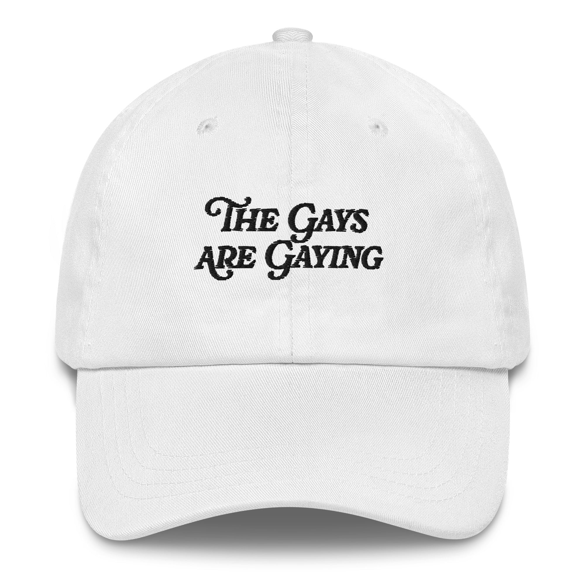El sombrero "Los gays son gays"